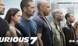 速度与激情7在线观看免费,燃情飙速，生死时速！