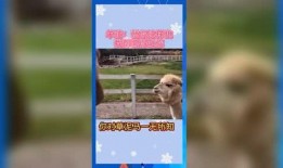 娱乐吃瓜群众素材图片,明星幕后故事大揭秘