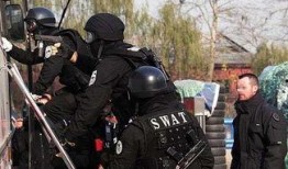哈里森特警队在线观看,在线观看，揭秘英勇特警的惊险历程