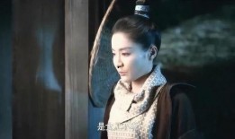 颜母全集在线观看,穿越时空的母爱传奇