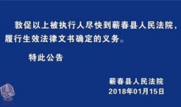 蕲春论坛爆料网首页最新,最新动态盘点，揭秘蕲春热点事件！